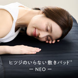 ヒツジのいらない敷きパッド ーアイス・ブレイク NEOー